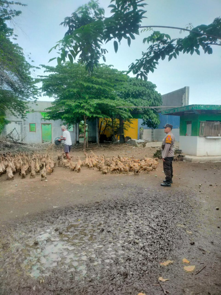Warga Desa Glagaharum Dukung Program Ketahanan Pangan Nasional Lewat Ternak Bebek Petelur
