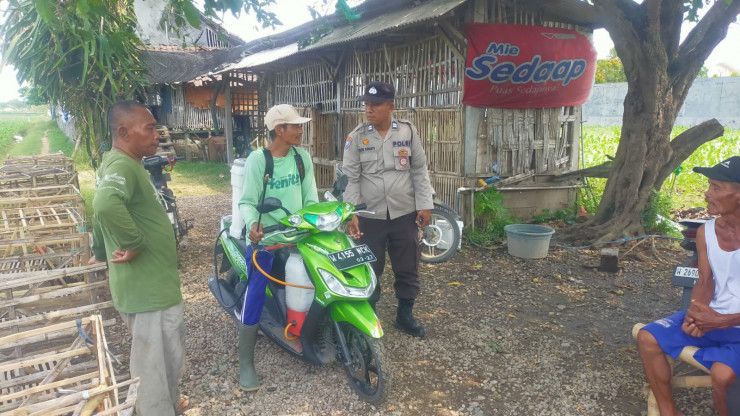 Polsek Prambon Pantau Jagung di Bulang, Pertumbuhan Tanaman Stabil