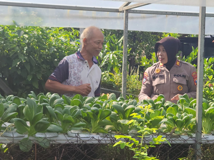 Implementasi Ketahanan Pangan, Polsek Gedangan Apresiasi Lahan Sayur Hidroponik di Desa Punggul