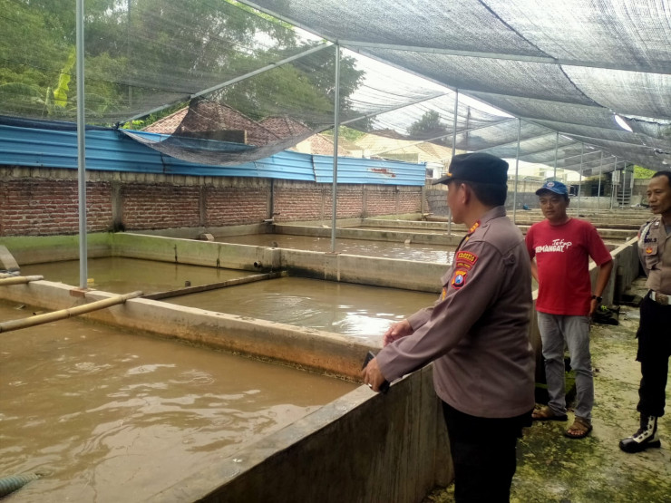 Kapolsek Prambon Bersama Kades Kedungkembar Cek Perkembangan Budidaya Lele