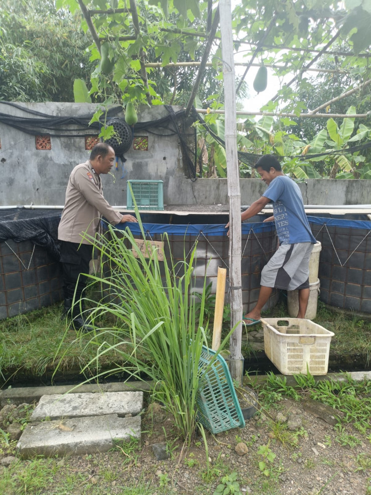 Bhabinkamtibmas Desa Jambangan Dukung Warga Kembangkan Budidaya Lele, Wujudkan Swasembada Pangan Mandiri