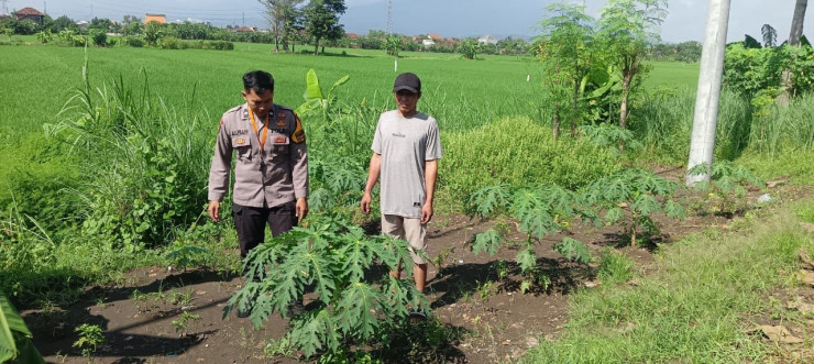 Polri Cinta Petani, Kapolsek Jabon Optimalkan Peran Bhabinkamtibmas Dukung Ketahanan Pangan Tingkat Desa