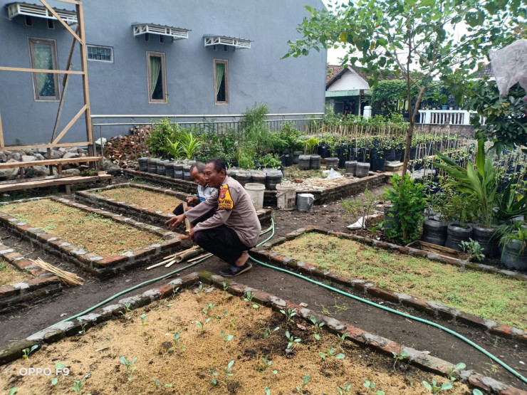 Pantau Lahan Sayuran, Polsek Tulangan Dukung Ketahanan Pangan Warga