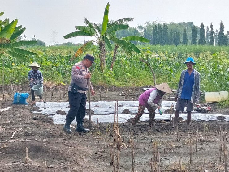 Sinergi Polisi, Pemdes, dan Warga Salurkan Bantuan Pupuk untuk Petani Desa Gamping