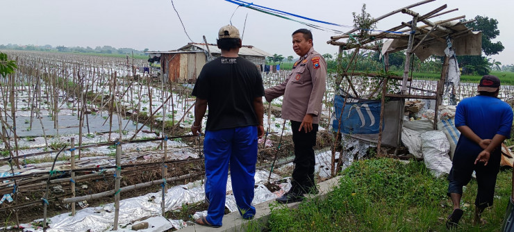 Warga Desa Pilang Manfaatkan Lahan Kosong untuk Budidaya Melon, Dapat Apresiasi dari Bhabinkamtibmas