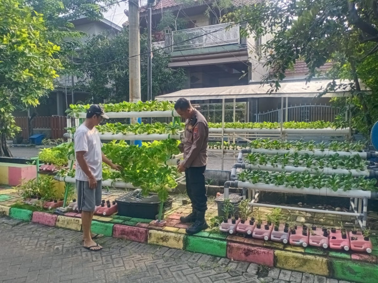 Warga Perum MCG Giatkan Tanaman Hidroponik, Disambut Baik Bhabinkamtibmas Desa Larangan