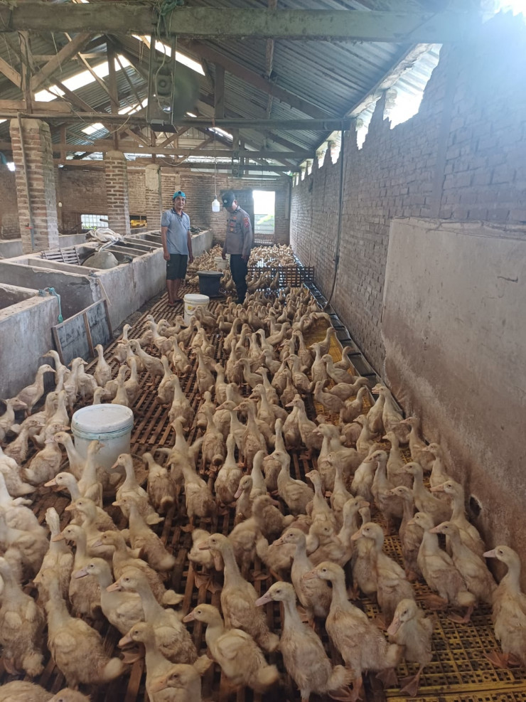 POLRESTA SIDOARJO | Kapolsek Tarik Maksimalkan Peran Bhabinkamtibmas untuk Kawal Ketahanan Pangan di Tingkat Desa