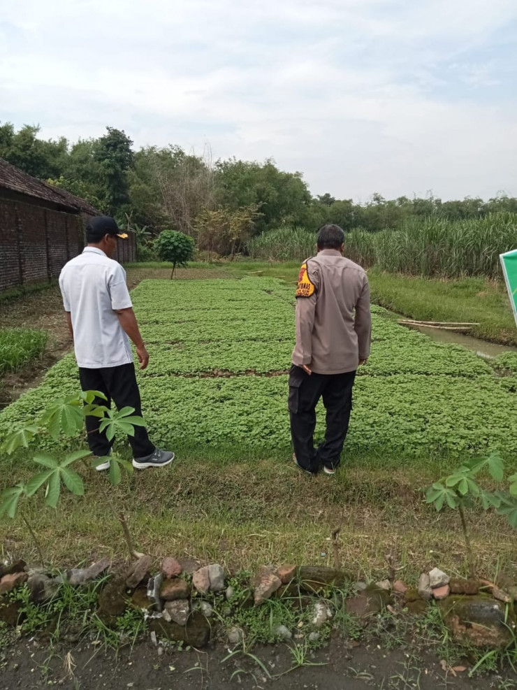 POLRESTA SIDOARJO | Cek Lahan P2B, Polisi di Prambon Dukung Ketahanan Pangan Warga
