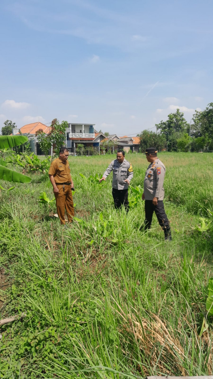 Kapolsek Sukodono Tinjau Lahan Bumdes Bangsri Dukung Program Ketahanan Pangan Nasional