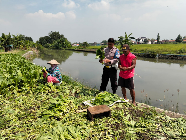 Bhabinkamtibmas Desa Wonokasian Tinjau Lahan Pekarangan Bergizi Warga Dukung Program Ketahanan Pangan Nasional