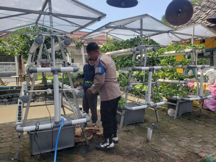 Swadaya Mandiri Warga Mutiara Citra Asri Kembangkan Kebun Hidroponik, Polisi Beri Apresiasi