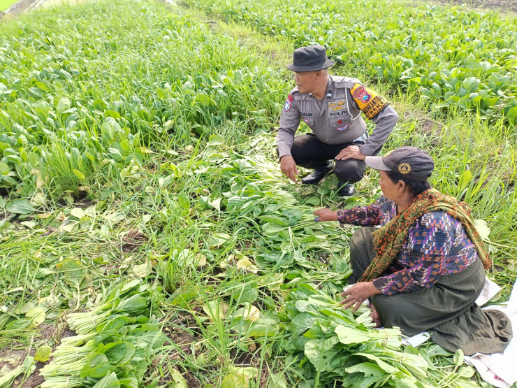 Polisi Sambangi Lahan Sayur Warga di Sidoarjo, Dukung Ketahanan Pangan Lokal