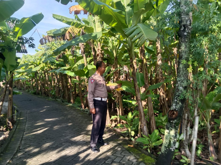 Polsek Sukodono Dukung Swasembada Pangan Warga Lewat Pemanfaatan Lahan Pekarangan