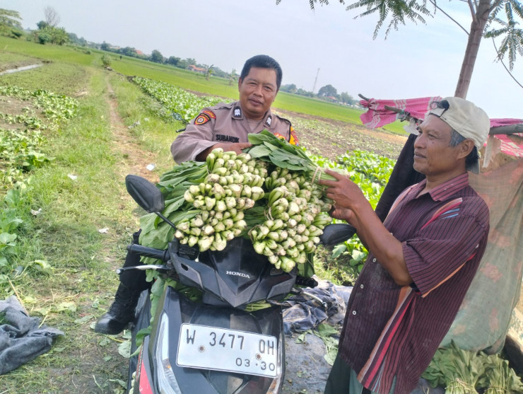 Bhabinkamtibmas Desa Jiken Tinjau Lahan Sayur Warga, Dukung Swasembada Pangan Lokal