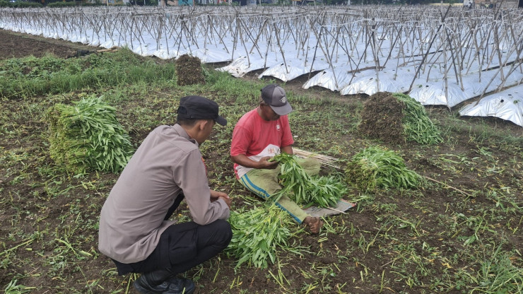 Bhabinkamtibmas Desa Sumberejo Cek Ketahanan Pangan Warga, dengan Pemanfaatan Lahan Kosong untuk Tanaman Sayur