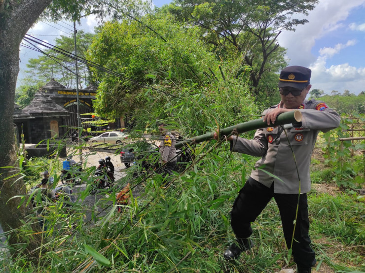 Polisi Bersama Dinas PU Jember Lakukan Pemangkasan Ranting Pohon, Tindaklanjuti Jumat Curhat