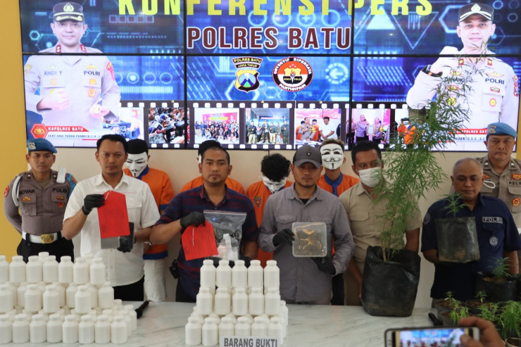 Polres Batu Berhasil Amankan Tersangka Penanam Pohon Ganja
