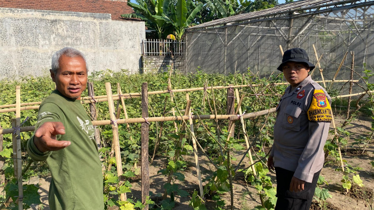 Polsek Balongbendo Masif Dampingi Warga Kelola P2L, Dukung Ketahanan Pangan