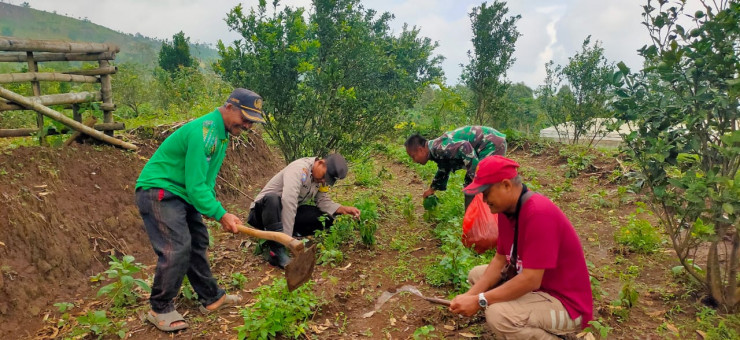 Polres Nganjuk Bersama Warga Tani Kembali Tanam Jagung Wujudkan Ketahanan Pangan Berkelanjutan