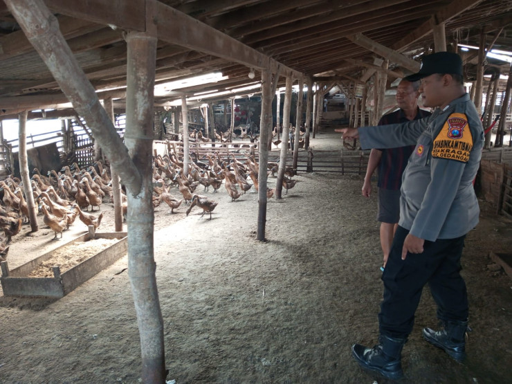 Bhabinkamtibmas Desa Kragan Bersama Perangkat Desa Cek Program Ketahanan Pangan Peternakan Bebek Petelur