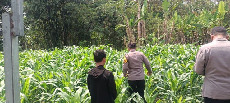 Polsek Tarik Gandeng Ponpes Gencarkan Program Ketahanan Pangan