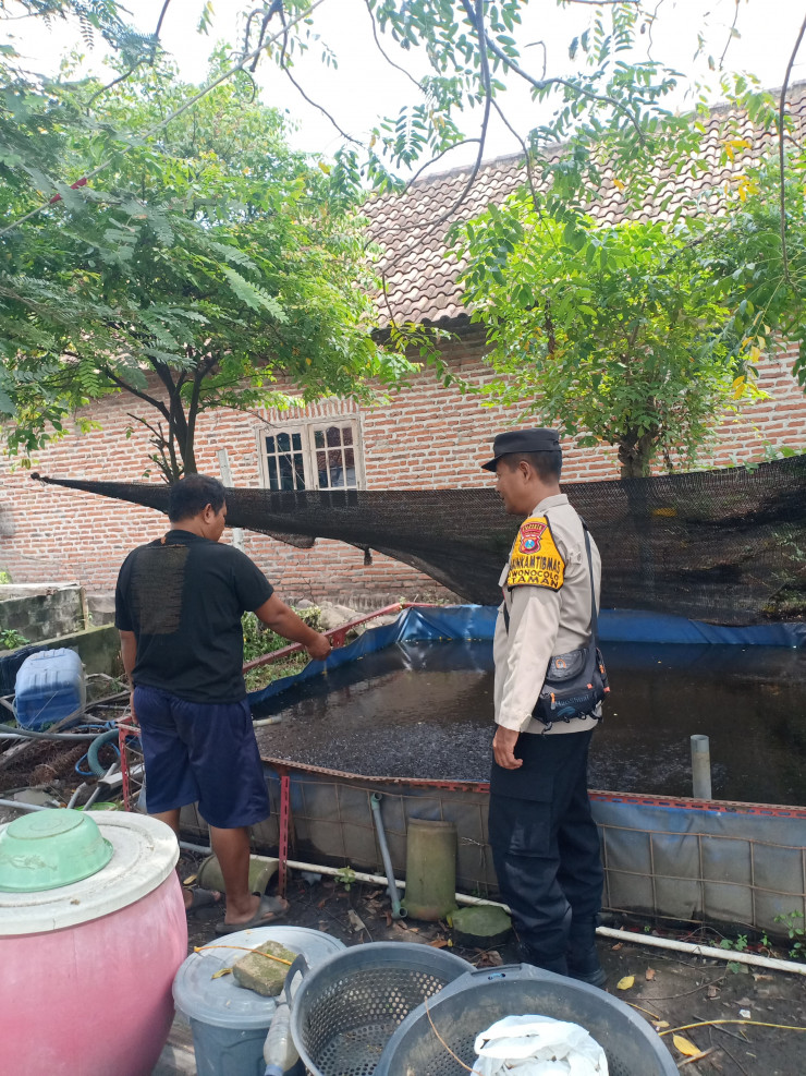 Kapolsek Taman Dukung Program Ketahanan Pangan Melalui Budidaya Ikan Lele di Sidoarjo