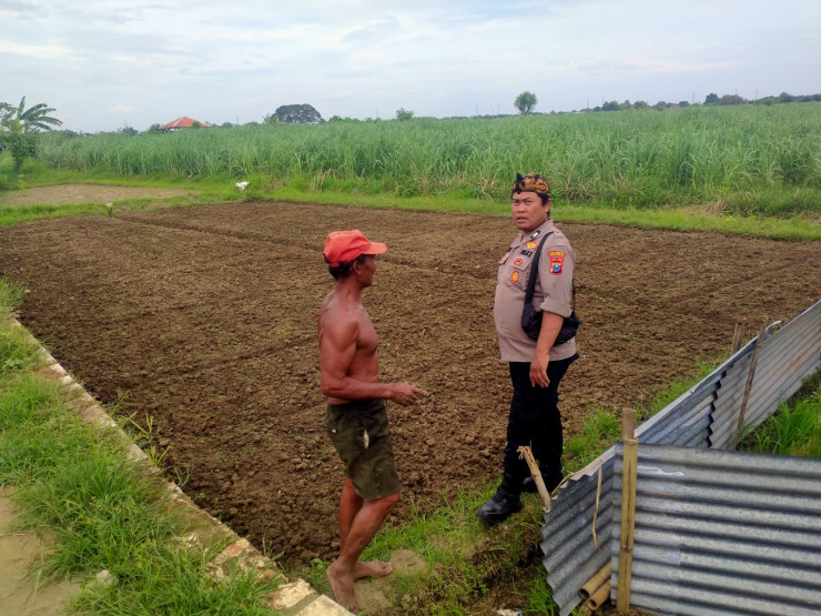 Warga Jatikalang Ubah Lahan Kosong Jadi Produktif dengan Tanaman Sayur