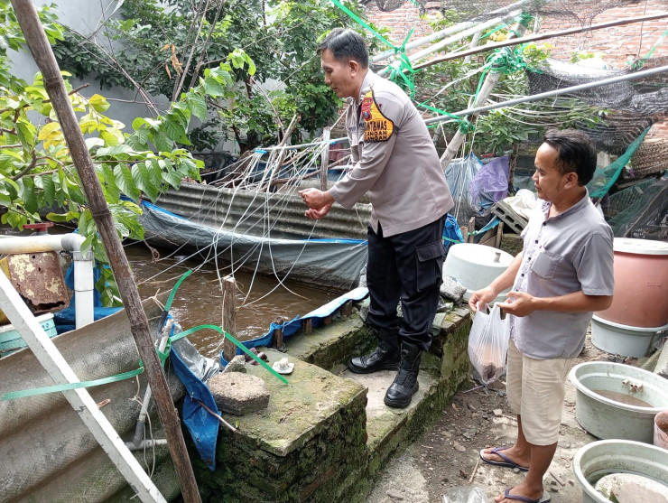 Bhabinkamtibmas Desa Bulang Prambon Cek Tanaman Warga, Dukung Program Ketahanan Pangan Nasional