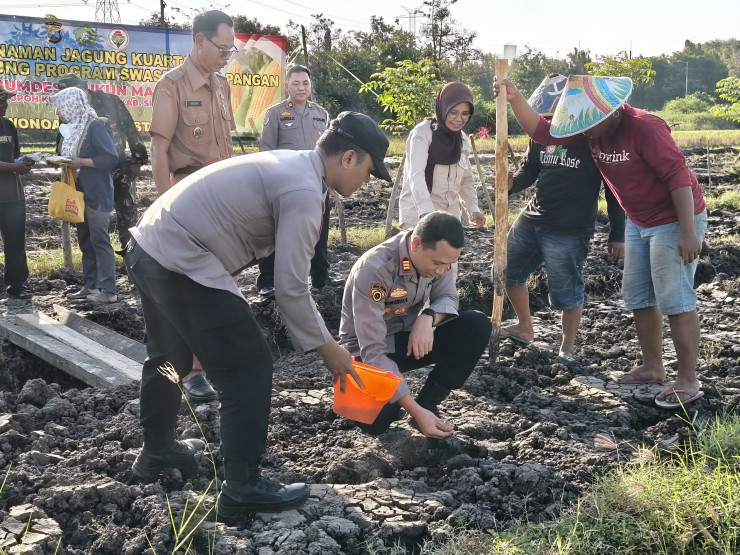 Kapolsek Wonoayu bersama Gapoktan Tanam Jagung Kuartal II, Dukung Swasembada Pangan Nasional
