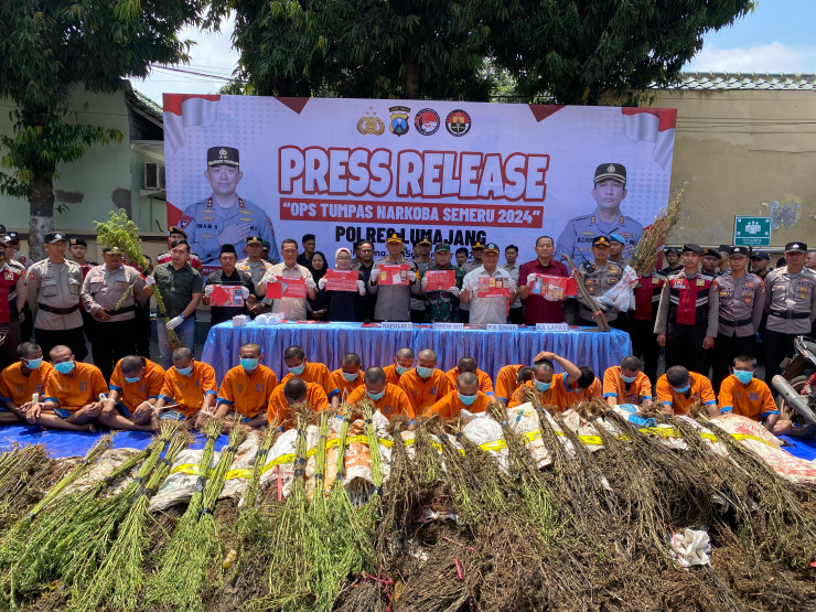 Operasi Tumpas Narkoba Semeru 2024, Polres Lumajang Berhasil Ungkap 16 Kasus dan Bongkar Ladang Ganja di TNBTS
