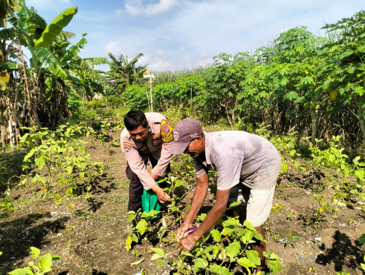 Dukung Program Ketahanan Pangan, Bhabinkamtibmas Desa Jiken Tinjau Lahan Produktif Warga